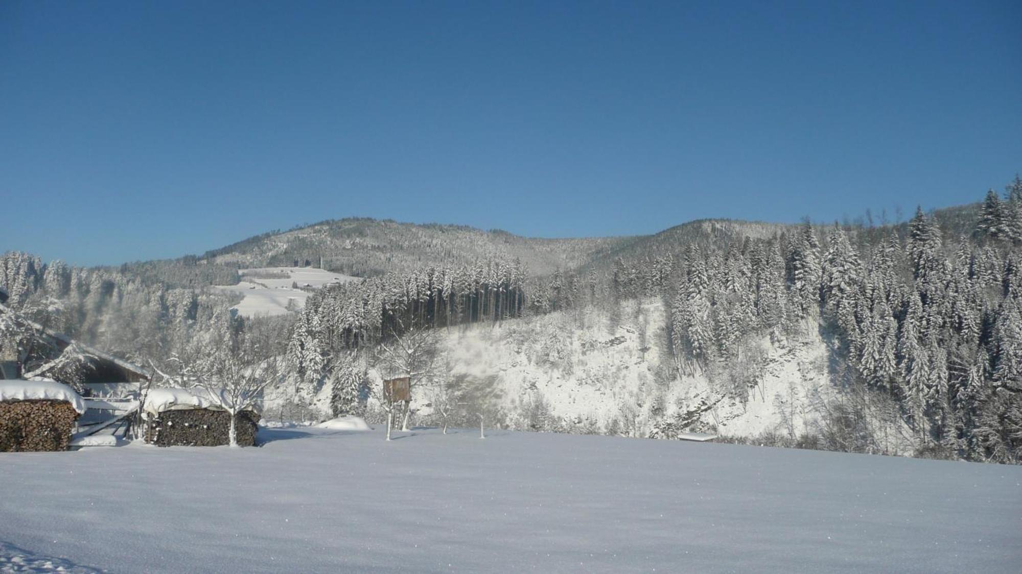 Sackmann Wanderhotel Baiersbronn Esterno foto